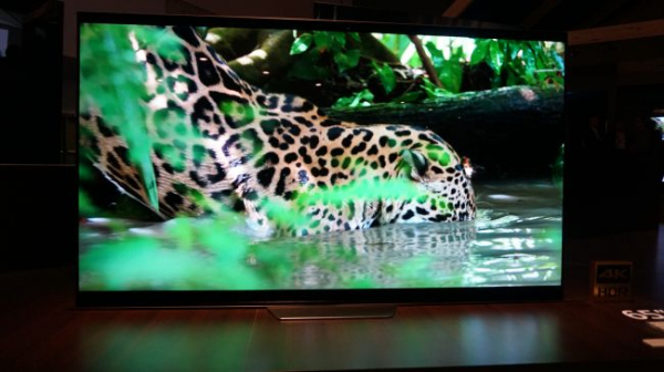 Предварительный обзор Sony Bravia A8F OLED